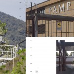 pamp